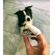 Zooro ujjra húzható fogkefe + fogpor