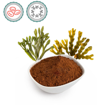 Barna alga - 150g