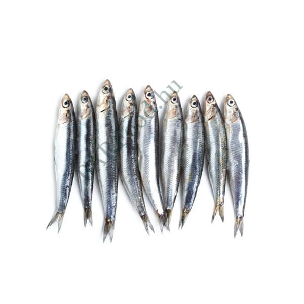 Szardínia 0,5kg