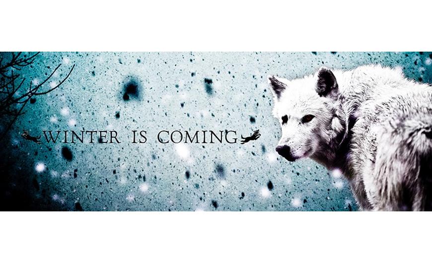 Winter is coming... és nem csak a Trónok harcában - immunerősítés a BARFood-dal.