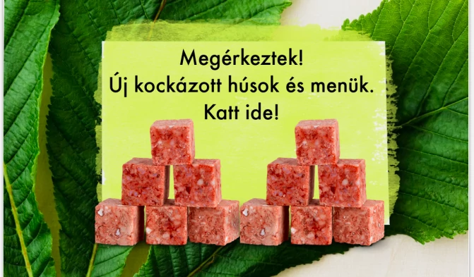 banner kock&aacute;zott